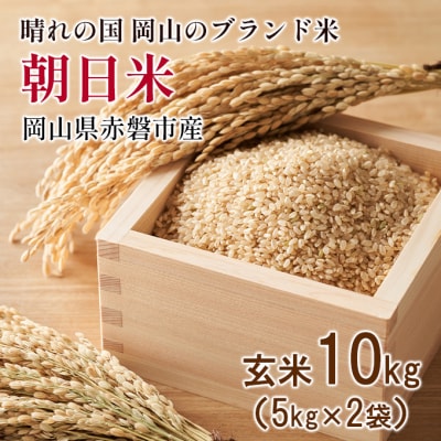 玄米 令和6年産 朝日米 10kg 5kg×2袋 晴れの国 岡山 赤磐市産[NO5765-0886]