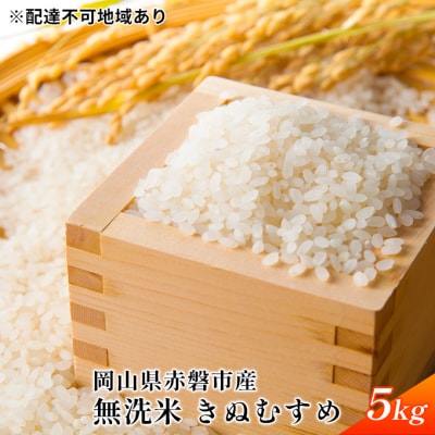 令和8年度産　無洗米 きぬむすめ 5kg 白米 お米 岡山 赤磐市産[NO5765-0892]