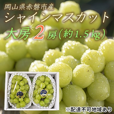 シャインマスカット 大房 2房 約1.5kg 秀品 赤磐市産 2025年 [NO5765-0893]