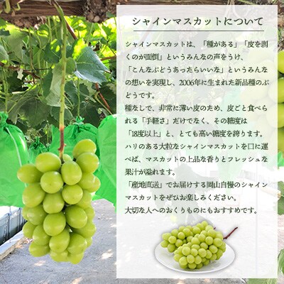 シャインマスカット 大房 2房 約1.5kg 秀品 赤磐市産 2026年 [NO5765-0893]