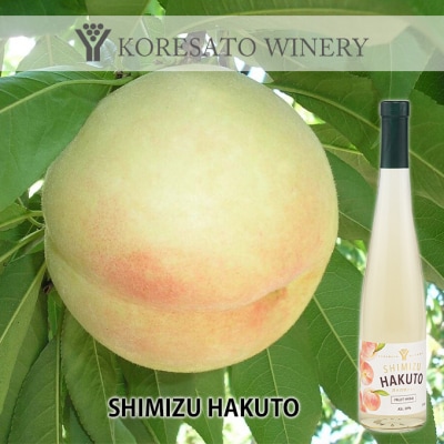 是里 ワイン フルーティー ワイン 2本 セット 岡山 赤磐市[NO5465-0896]