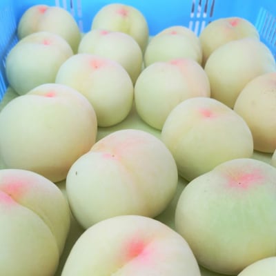 翠果撰 岡山 清水白桃 ドリンク 3本(1本200ml) 化粧箱入り[NO5765-0900]