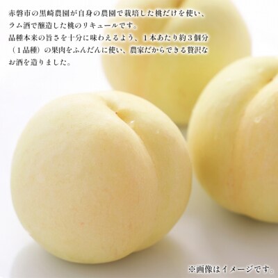 桃 の お酒 ラ・ペーシュ 清水 白桃 500ml×2本 セット 赤磐市産[NO5765-0897]