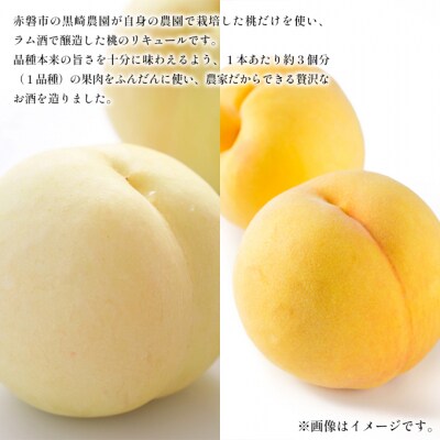 桃 の お酒 ラ・ペーシュ 清水白桃 ・ 黄金桃 500ml×2本 セット[NO5765-0899]