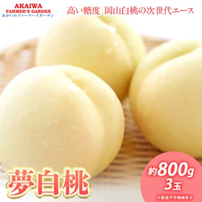 桃 おかやま 夢 白桃 約800g 3玉 もも 岡山 赤磐市産 2025年[NO5765-0922]