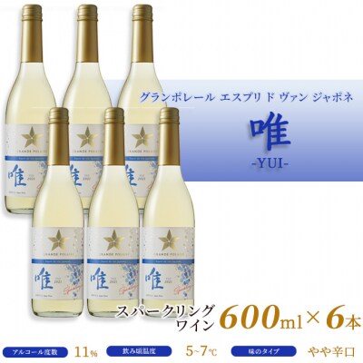 エスプリ ド ヴァン ジャポネ 唯-YUI- 6本(1本 600ml)[NO5765-0939]