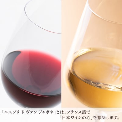 エスプリ ド ヴァン ジャポネ 赤・白 12本セット(各1本 720ml)[NO5765-0943]