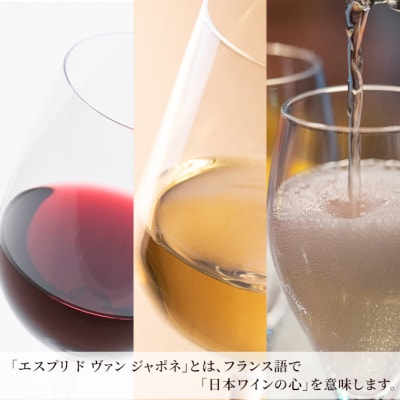 グランポレール エスプリ ド ヴァン ジャポネ 飲み比べ 6本セット[NO5765-0945]