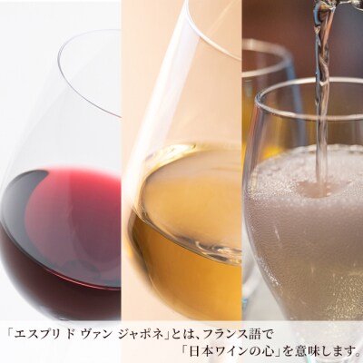 グランポレール エスプリ ド ヴァン ジャポネ 飲み比べ 3本セット[NO5765-0944]