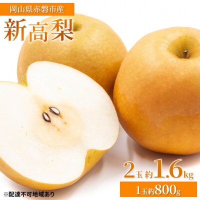 梨 2026年 新高梨 2玉 約1.6kg(1玉約800g)赤磐市産 [NO5765-0451]