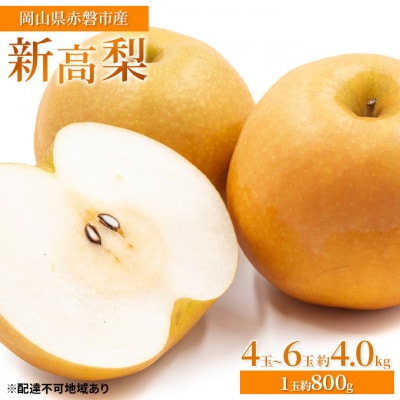 梨 2026年 新高梨 4玉～6玉 約4.0kg(1玉約800g)赤磐市産[NO5765-0452]