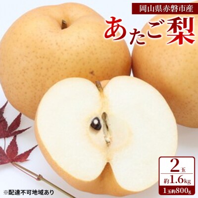 あたご梨 2玉 約1.6kg(1玉約800g)岡山県赤磐市産 [NO5765-0453]