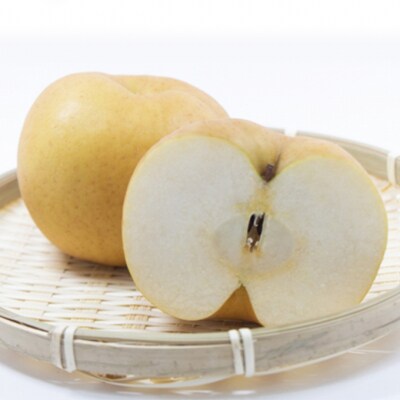 あたご梨 2玉 約1.6kg(1玉約800g)岡山県赤磐市産 [NO5765-0453]