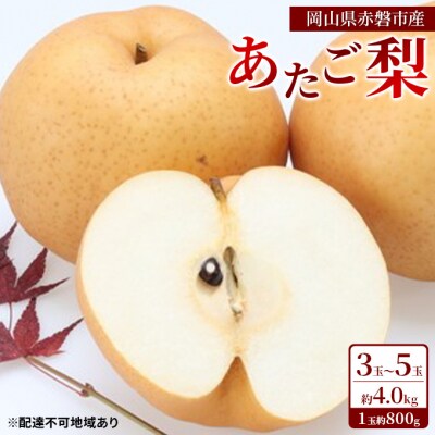あたご梨 3玉～5玉 約4.0kg(1玉約800g)岡山県赤磐市産 [NO5765-0454]