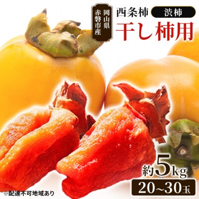 柿 西条柿 ( 渋柿 ) 干し柿 用 約5kg(20～30玉)赤磐市産 [NO5765-0586]