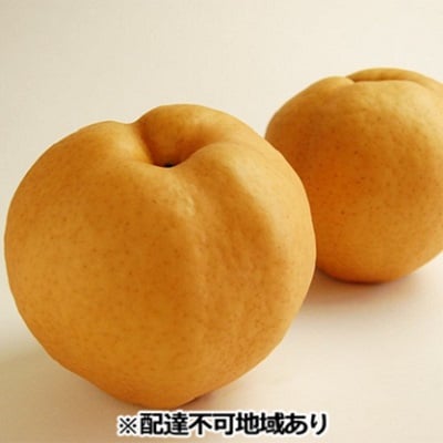 梨 早期受付 岡山 の あたご 梨 3～8玉 合計2kg以上  岡山県産[NO5765-0723]