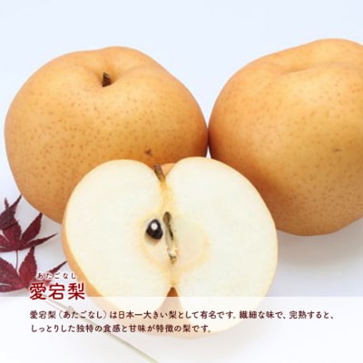 梨 の詰合せ! 愛宕梨 2玉・新高梨 2玉 合計約3.2kg[NO5765-0976]