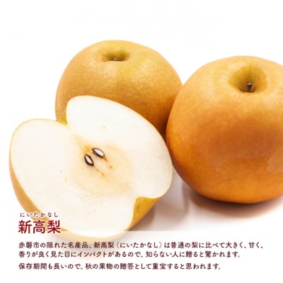2025年 梨 の詰合せ! 愛宕梨 2玉・新高梨 2玉 合計約3.2kg[NO5765-0976]