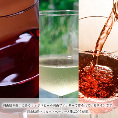 ワイン 飲み比べ 定期便 4ヶ月 サッポロ 岡山 ワイナリー お酒  [NO5765-0990]
