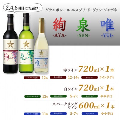 ワイン 飲み比べ 定期便 6ヶ月 サッポロ 岡山 ワイナリー お酒  [NO5765-0991]