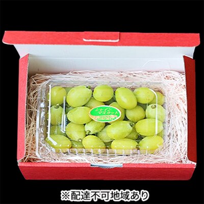早期受付 シャイン マスカット 1パック(750g以上)  桃茂実苑 [NO5765-0997]