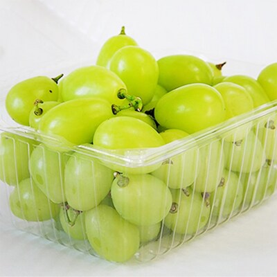 早期受付 シャイン マスカット 1パック(750g以上)  桃茂実苑 [NO5765-0997]