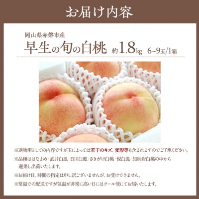 桃 2026年 先行受付 早生の旬の 白桃 約1.8kg 6～9玉 [NO5765-1007]