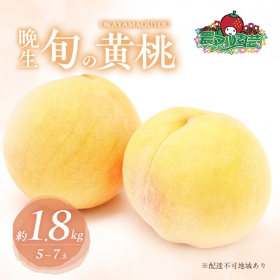 桃 2026年 先行受付 晩生の旬の 黄桃 約1.8kg 5～7玉 [NO5765-1008]