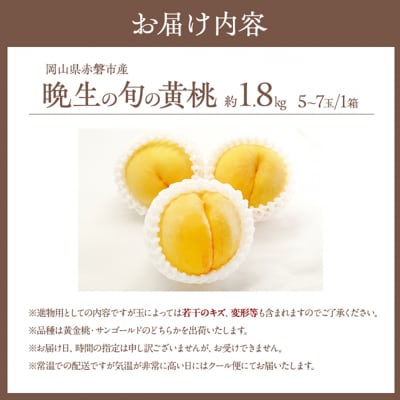 桃 2026年 先行受付 晩生の旬の 黄桃 約1.8kg 5～7玉 [NO5765-1008]