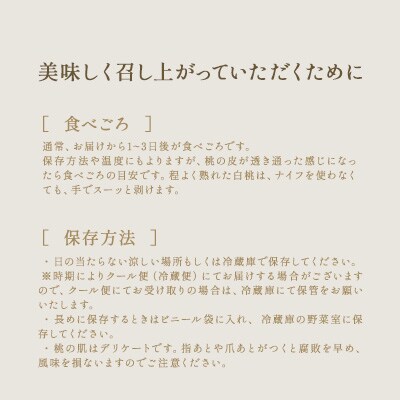 桃 2026年 先行受付 旬 の 白桃 5～6玉入り 約1.5kg 贈答用[NO5765-1020]