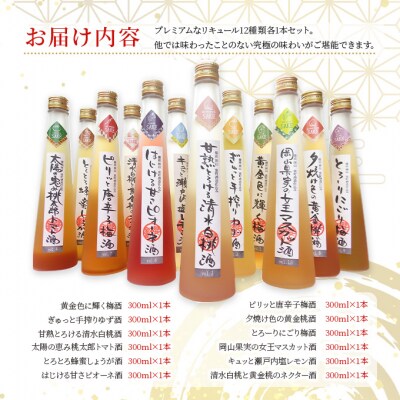 櫻室町 リキュール 詰合せ 計12本(12種類300mlx各1本)[NO5765-1016]