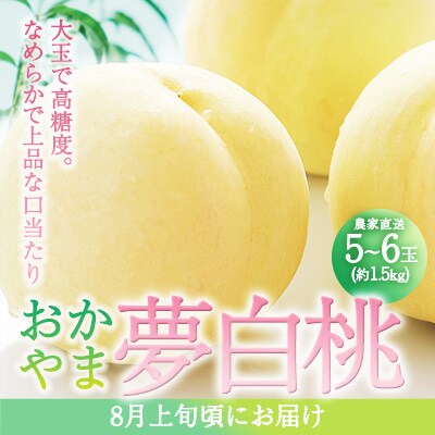 2025年 先行受付  おかやま 夢 白桃 5～6玉入り(約1.5kg) [NO5765-1022]