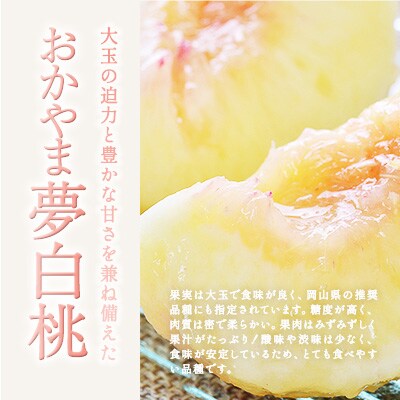 2026年 先行受付  おかやま 夢 白桃 5～6玉入り(約1.5kg) [NO5765-1022]