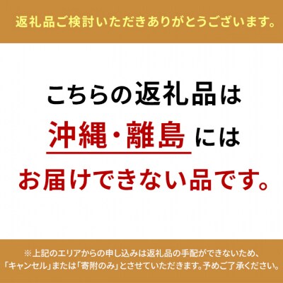 2025年 先行受付  おかやま 夢 白桃 5～6玉入り(約1.5kg) [NO5765-1022]