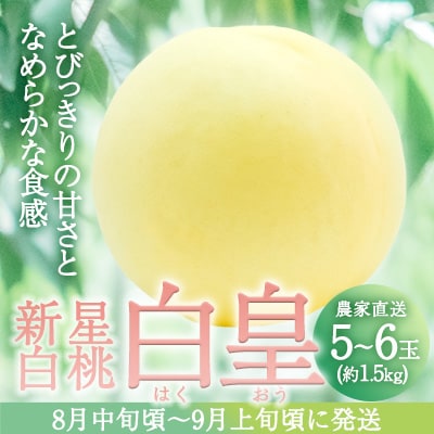 固めの 桃 2025年 先行受付 白桃 白皇 (はくおう) 5～6玉入り([NO5765-1023]