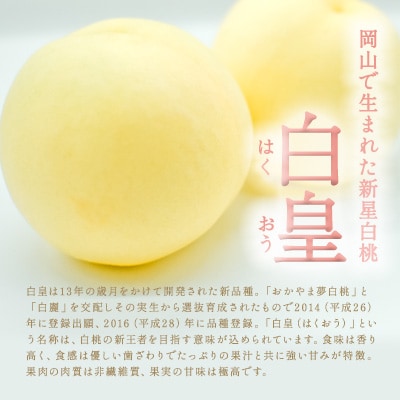 固めの 桃 2026年 先行受付 白桃 白皇 (はくおう) 5～6玉入り([NO5765-1023]