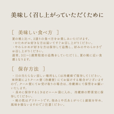 固めの 桃 2025年 先行受付 白桃 白皇 (はくおう) 5～6玉入り([NO5765-1023]