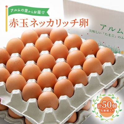 卵 赤玉 ネッカリッチ卵 50個入り 鶏卵 たまご [NO5765-1025]