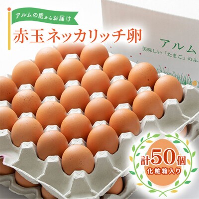 卵 赤玉 ネッカリッチ卵 50個入り 鶏卵 たまご [NO5765-1025]