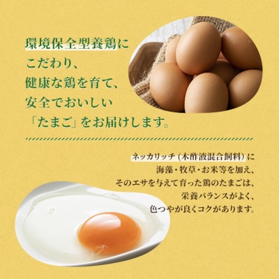 卵 赤玉 ネッカリッチ卵 50個入り 鶏卵 たまご [NO5765-1025]