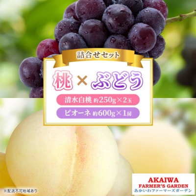 桃 ぶどう 詰合せ 清水 白桃 2玉 ニュー ピオーネ 1房 2025年[NO5765-1034]
