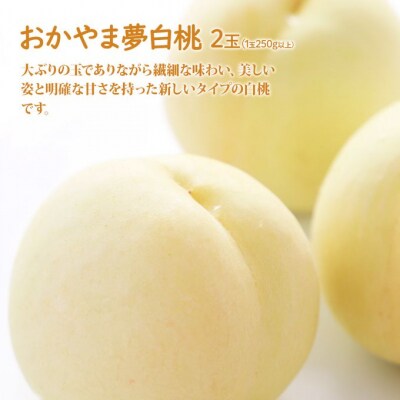 桃 ぶどう 詰合せ おかやま 夢 白桃 2玉 シャイン マスカット 1房[NO5765-1036]