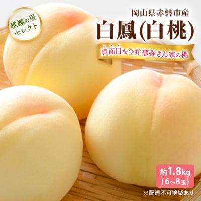 2025年 先行受付 今井郁弥さんの桃 白桃 白鳳 約1.8kg 6～8玉[NO5765-1051]