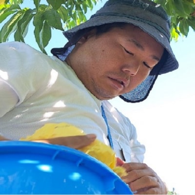 2025年 先行受付 今井郁弥さんの桃 白桃 白鳳 約1.8kg 6～8玉[NO5765-1051]
