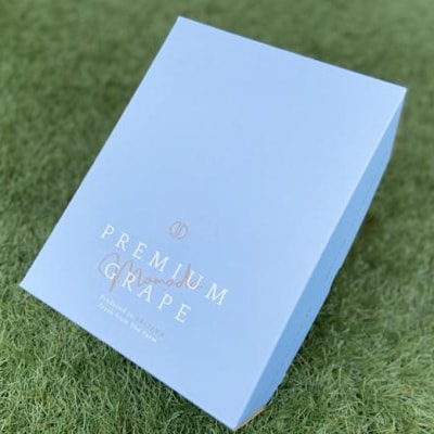 贈答用 シャインマスカット & ニューピオーネ 600g以上×各1房  [NO5765-1062]