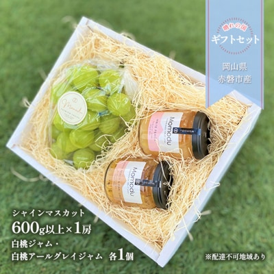 晴れの国 ギフトセット ( シャインマスカット 1房+ ジャム 2種) [NO5765-1063] 