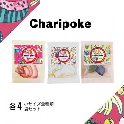 ドライフルーツ チャリポケ 塩 ドライ果実 3種 セット 小サイズ [NO5765-1104] 