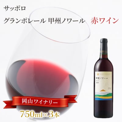 サッポロ グランポレール 甲斐 ノワール 赤ワイン 750ml 3本  [NO5765-1107] 