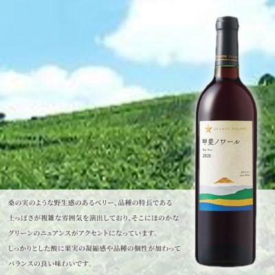 サッポロ グランポレール 甲斐 ノワール 赤ワイン 750ml 3本  [NO5765-1107] 