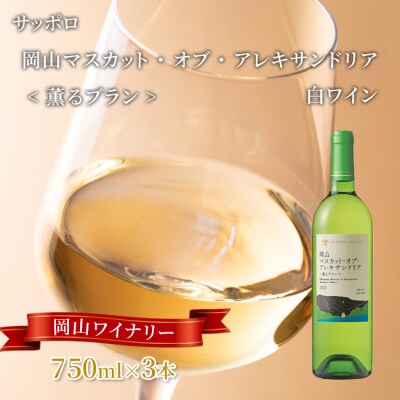 グランポレール 薫るブラン 白ワイン 750ml 3本[NO5765-1111] 